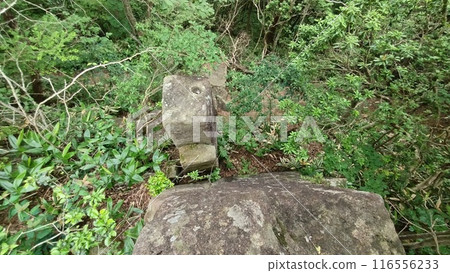 大野莊山信武岩 116556233