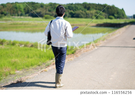 Rural staff Rural staff 116556256