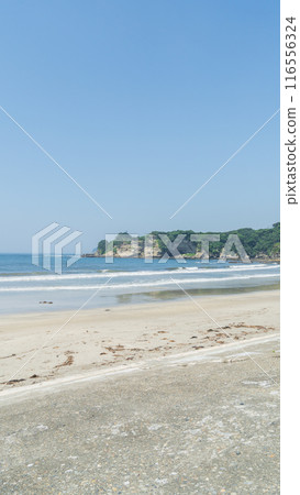 [千葉縣勝浦市] 鵜鶘海灘/鵜鶘海灘 116556324