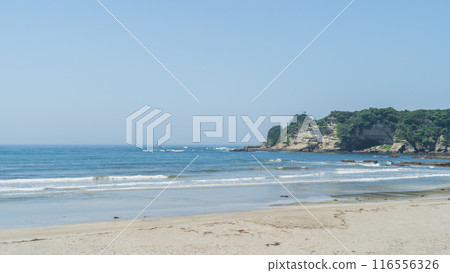 [千葉縣勝浦市] 鵜鶘海灘/鵜鶘海灘 116556326