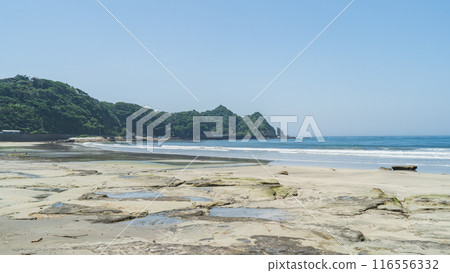 [千葉縣勝浦市] 鵜鶘海灘/鵜鶘海灘 116556332