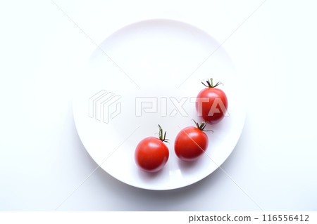 Midi Tomato 3:2 Midi Tomato 3:2 116556412