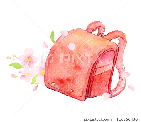 Red school bag and cherry blossoms watercolor illustration 116556430