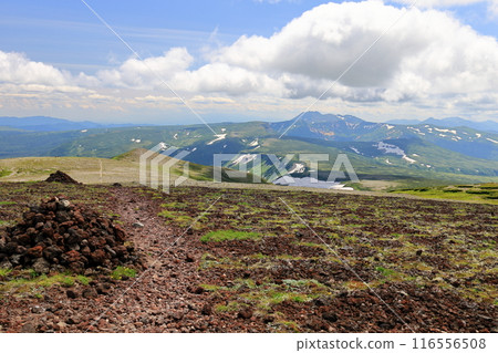 Summer in Daisetsuzan, from the summit of Mt. Koizumi, overlooking Mt. Tomuratushi, Takanegahara, and the Tokachi mountain range Summer in Daisetsuzan, from the summit of Mt. Koizumi, overlooking Mt. Tomuratushi, Takanegahara, and the Tokachi mountain range 116556508
