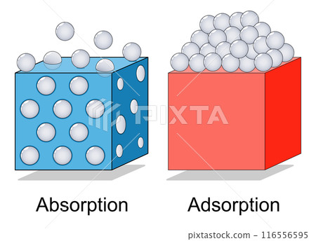 Adsorption and Absorption. Physical or chemical phenomenon. 116556595
