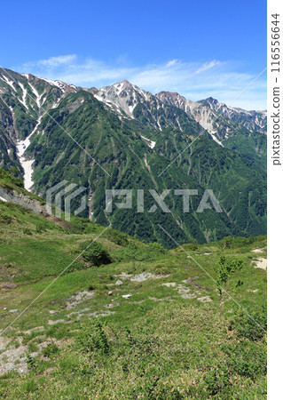 Hakuba Sanzan in summer seen from Happoone Hakuba Sanzan in summer seen from Happoone 116556644