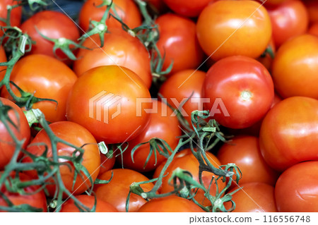 Ripe tomatoes on the vine are essential for staple food Ripe tomatoes on the vine are essential for staple food 116556748