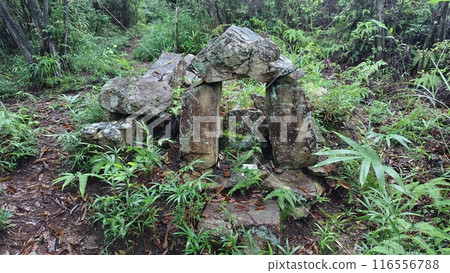 Ryugon-sama 附近的神秘石結構遺址 116556788