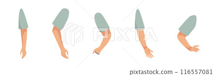 Man Character Constructor with Separated Arm Body Part Vector Set Man Character Constructor with Separated Arm Body Part Vector Set 116557081
