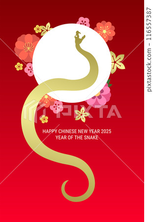 Golden chinese zodiac snake with flowers background Golden chinese zodiac snake with flowers background 116557387
