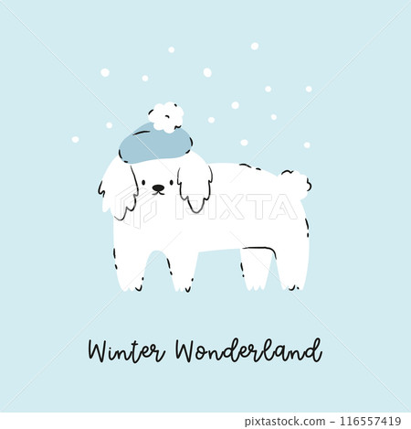 Holiday Christmas card with funny dog in a knitted hat 116557419