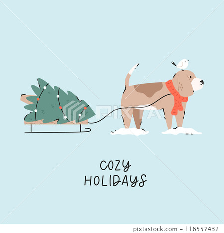 Holiday Christmas card with adorable beagle dog carrying Christmas tree on a sledge Holiday Christmas card with adorable beagle dog carrying Christmas tree on a sledge 116557432