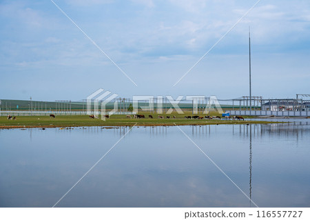 Inner Mongolia 116557727