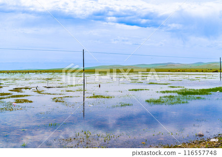 Inner Mongolia Inner Mongolia 116557748