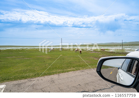 Inner Mongolia Inner Mongolia 116557759