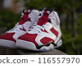 Air Jordan 116557970