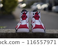 Air Jordan 116557971