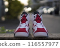 Air Jordan 116557977