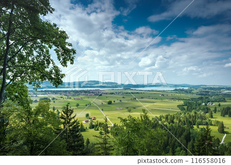 Aerial view on Forggensee and Schwangau, Germany, Bavaria Aerial view on Forggensee and Schwangau, Germany, Bavaria 116558016