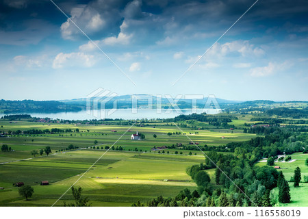 Aerial view on Forggensee and Schwangau, Germany, Bavaria 116558019