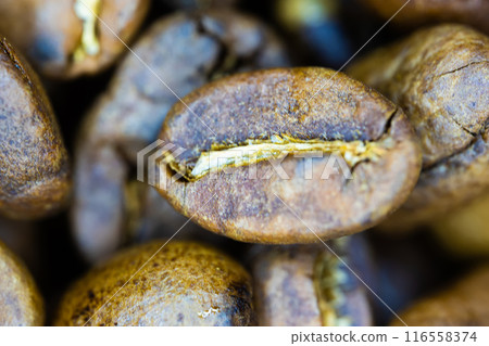 Detailed close-up image of a roasted coffee bean. Detailed close-up image of a roasted coffee bean. 116558374