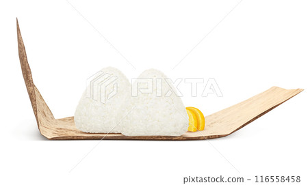 飯糰插畫寫實套裝 飯糰插畫寫實套裝 116558458