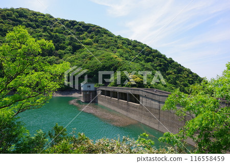 兵庫縣淡路島大二川水壩 兵庫縣淡路島大二川水壩 116558459