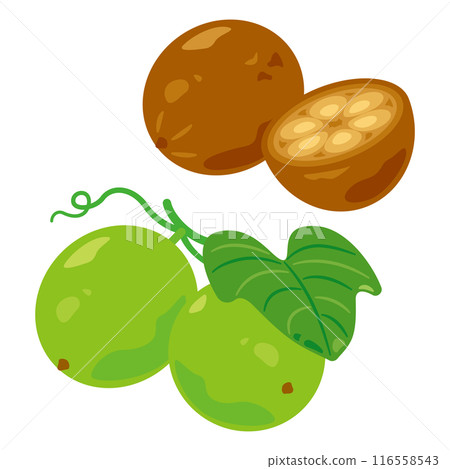 Monk fruit 116558543