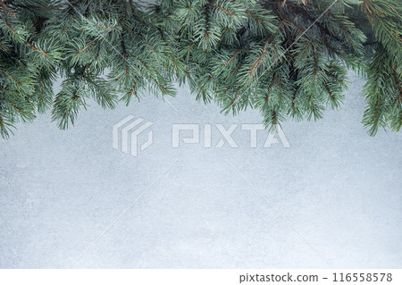 Green tree branches. Christmas natural gray background copy space. Green tree branches. Christmas natural gray background copy space. 116558578