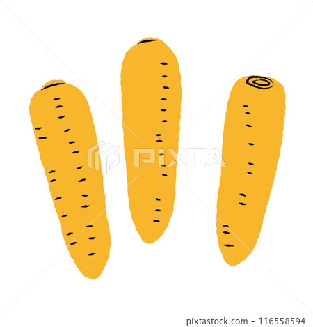 Simple carrot illustration | Vector 116558594