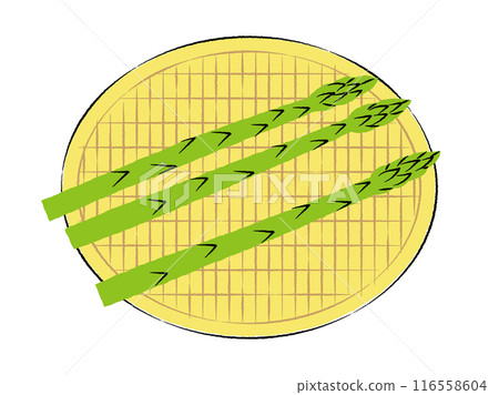 Illustration of asparagus in a colander | Vector Illustration of asparagus in a colander | Vector 116558604
