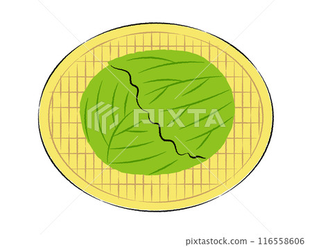 Illustration of cabbage in a colander | Vector 116558606
