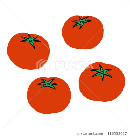 Simple tomato illustration | Vector Simple tomato illustration | Vector 116558617