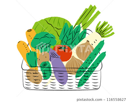 Illustration of a set of vegetables in a basket | Vector 116558627