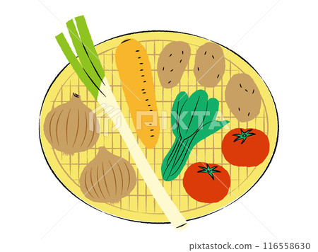 Illustration of various vegetables in a colander | Vector Illustration of various vegetables in a colander | Vector 116558630