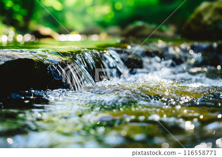Serene nature scene featuring a small waterfall flowing over rocks in a lush forest setting 116558771