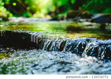 Serene nature scene featuring a small waterfall flowing over rocks in a lush forest setting Serene nature scene featuring a small waterfall flowing over rocks in a lush forest setting 116558772