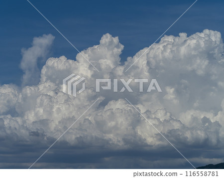 Cumulonimbus clouds rising in the summer sky Cumulonimbus clouds rising in the summer sky 116558781
