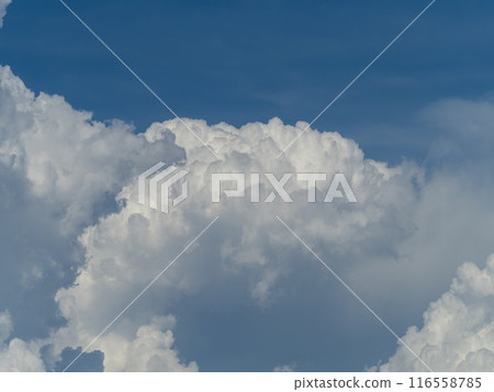 Cumulonimbus clouds rising in the summer sky Cumulonimbus clouds rising in the summer sky 116558785