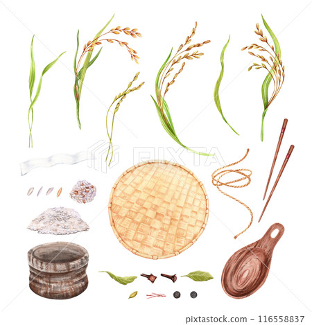 Rice crops and grains collection. Hand drawn watercolor illustration isolated from background. Traditional agricultural set with rice stalk, chopsticks and spices. Sack pouch with drawstring and spoon 116558837