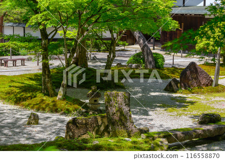 [Joshoji Temple] Early summer garden [Karesansui] 116558870