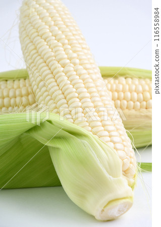 Corn (whipped corn) 116558984