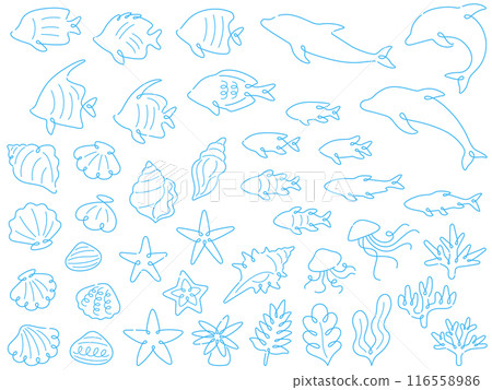 Set of light blue line drawings of sea creatures Set of light blue line drawings of sea creatures 116558986