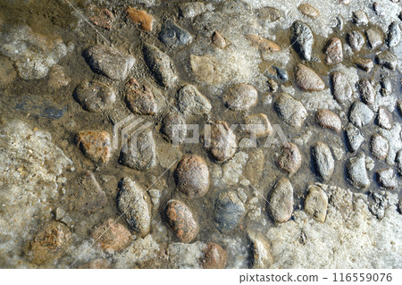 Cobblestones on an old paved street in puddles of water from melting snow, a close-up view Cobblestones on an old paved street in puddles of water from melting snow, a close-up view 116559076