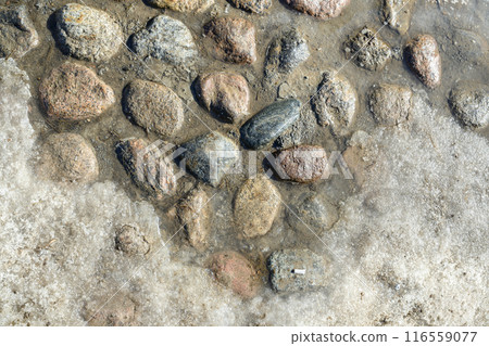Cobblestones on an old paved street in puddles of water from melting snow, a close-up view Cobblestones on an old paved street in puddles of water from melting snow, a close-up view 116559077