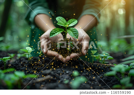 Human living with environment and nature, Green eco ESG concepts. 116559190