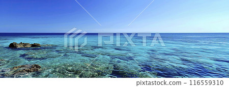 AI-generated item. Panoramic view of the crystal clear waters of the sea. AI-generated item. Panoramic view of the crystal clear waters of the sea. 116559310