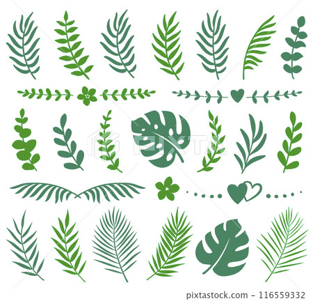 Summer tropical set palm eucalyptus branches and leaves 116559332