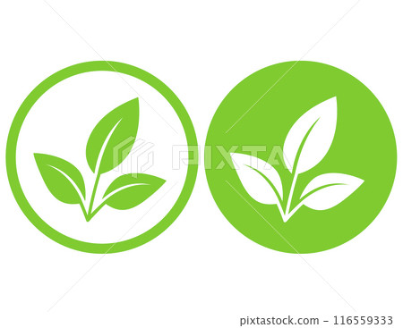 Green brances leaves icons eco natural sign 116559333