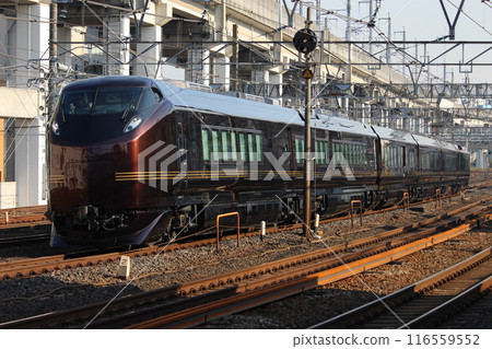 日本特快列車 E655 系列 116559552